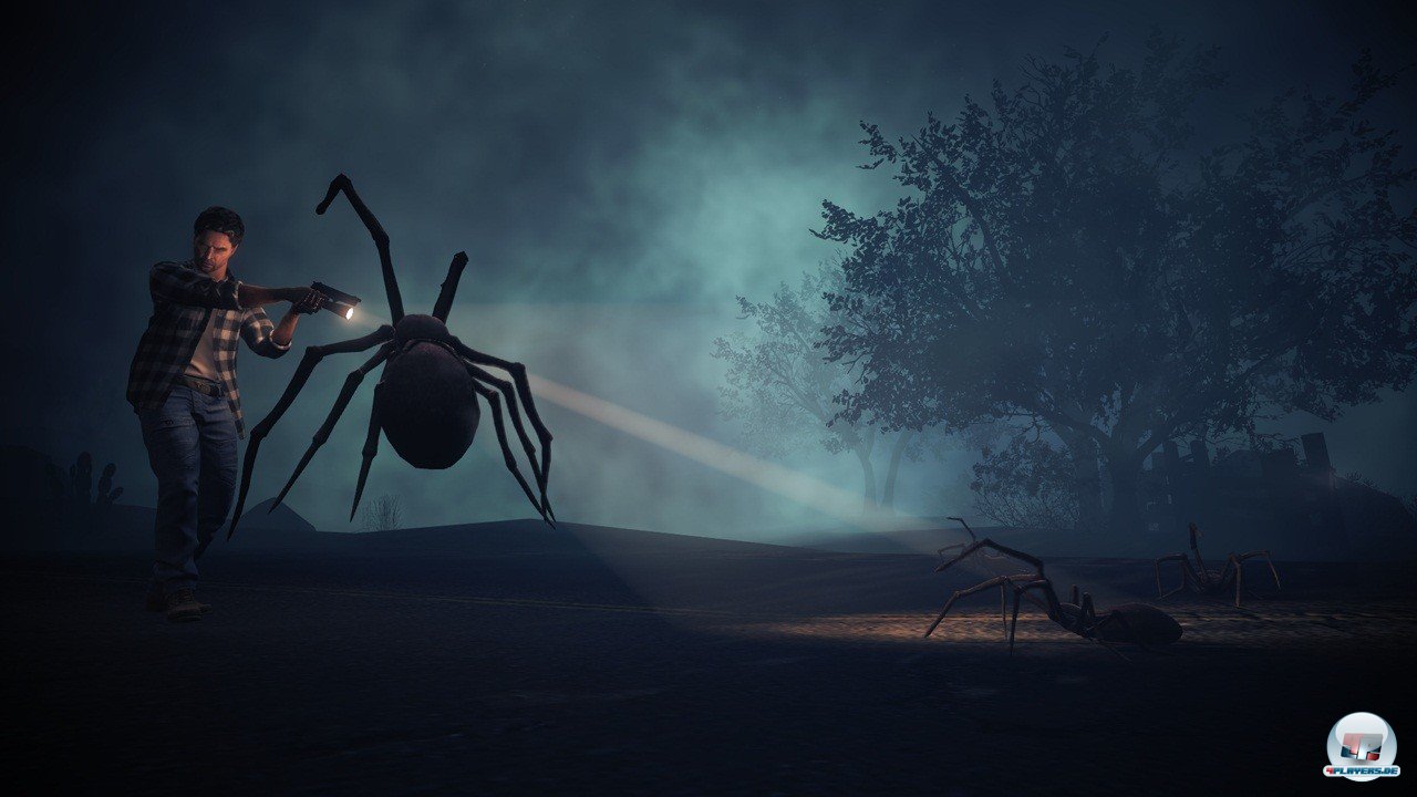 Auch Spinnen z&auml;hlen zu Alans Gegnern.