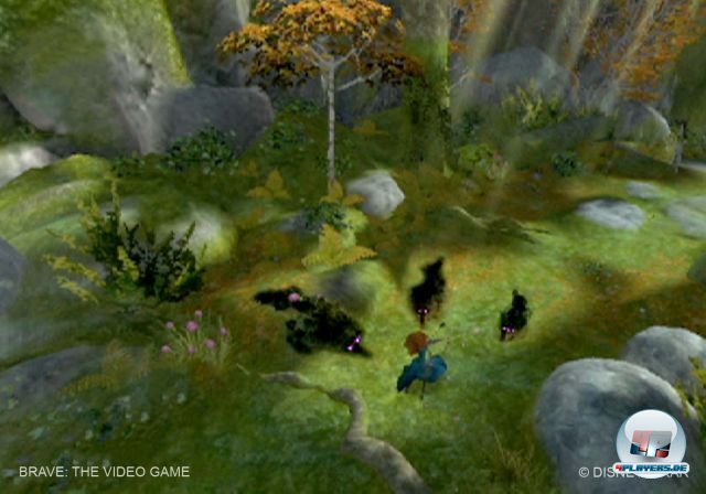 Kein Ruhmesblatt f&uuml;r die Entwickler: Die ruckelnde Wii-Version.