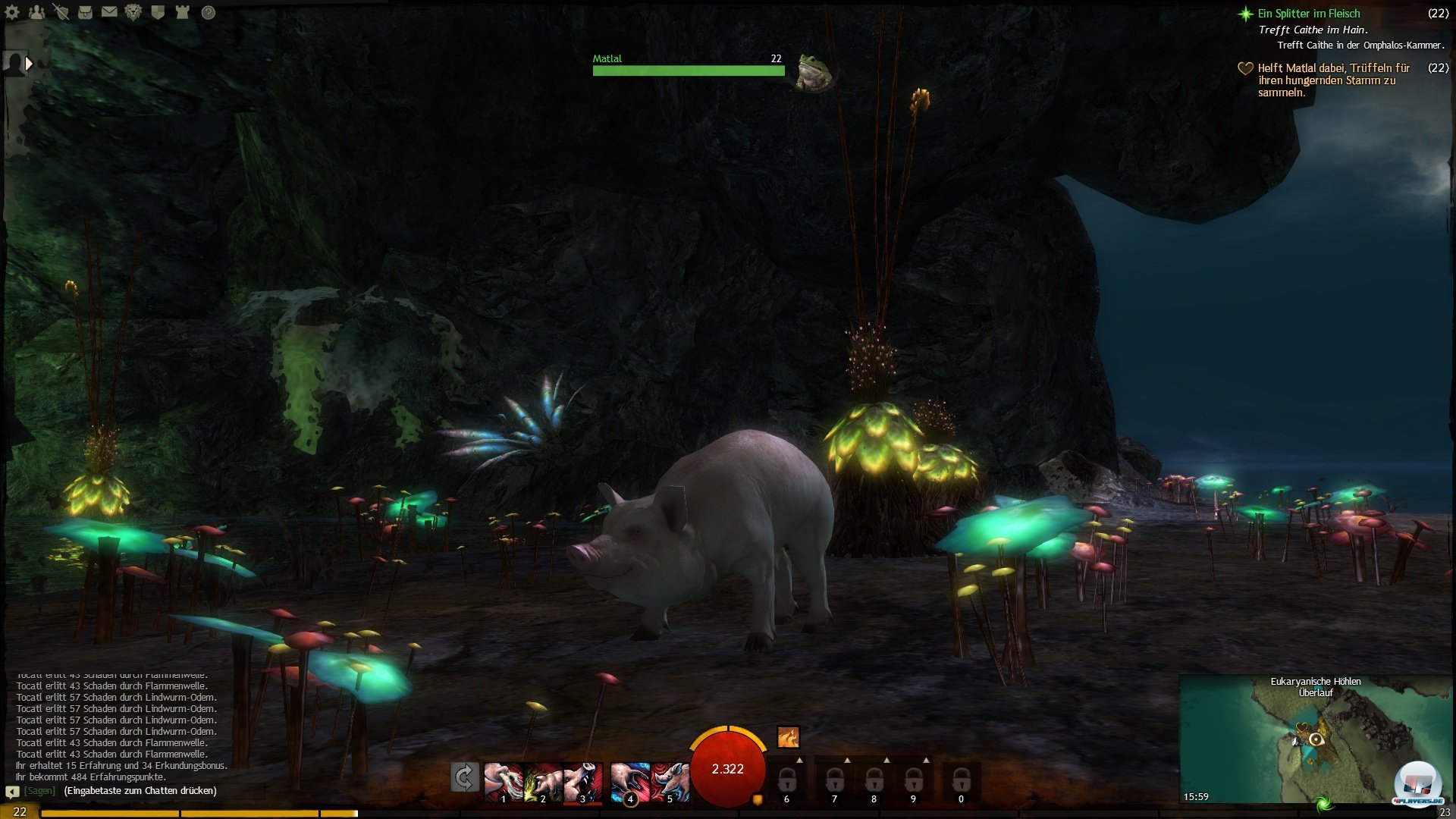 Die Aufgaben bieten trotz &Auml;hnlichkeiten auch interessante &Uuml;berraschungen: Hier ist man als Tr&uuml;ffelschwein unterwegs.