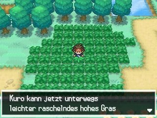 Wilde Pok&eacute;mon verstecken gern im hohen Gras.