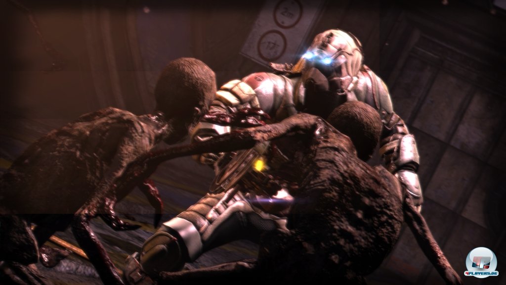 Die Feeder reagieren auf Licht und Ger&auml;usche.