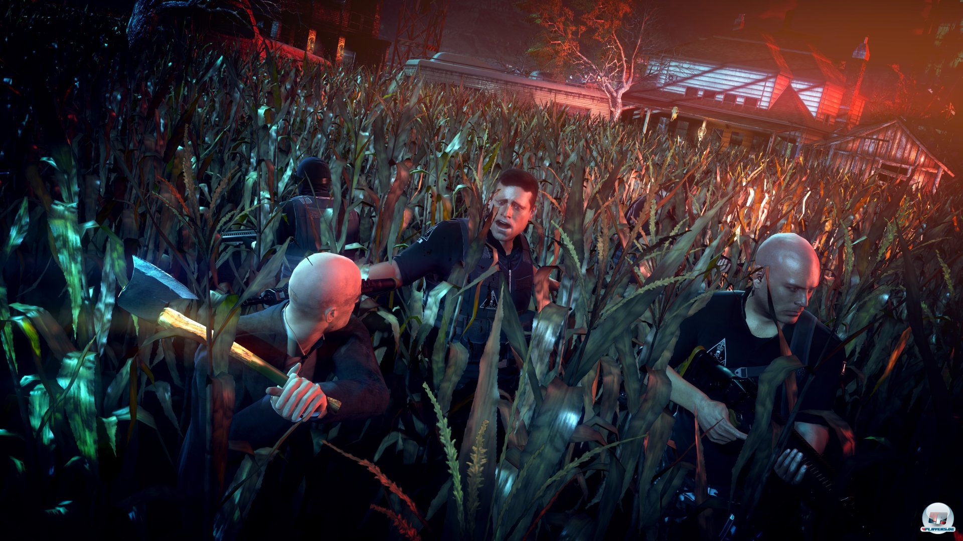 Ein wenig Akte X schwingt mit, wenn 47 in der Abendd&auml;mmerung durch ein Maisfeld schleicht.