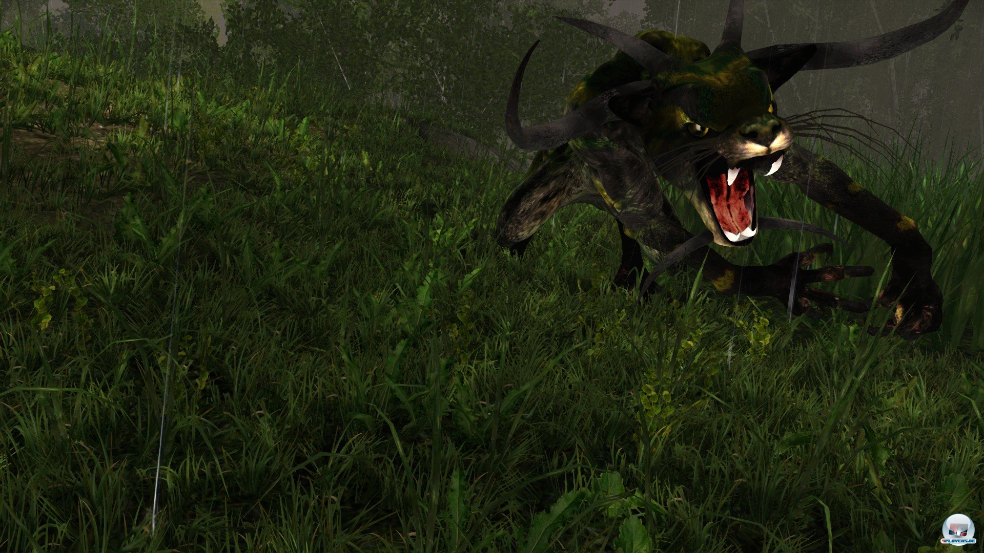 Auf Bildern sieht die Kreatur nicht furchterregend aus - in freier Wildbahn ist sie ein m&auml;chtiges, unbezwingbares Monster.