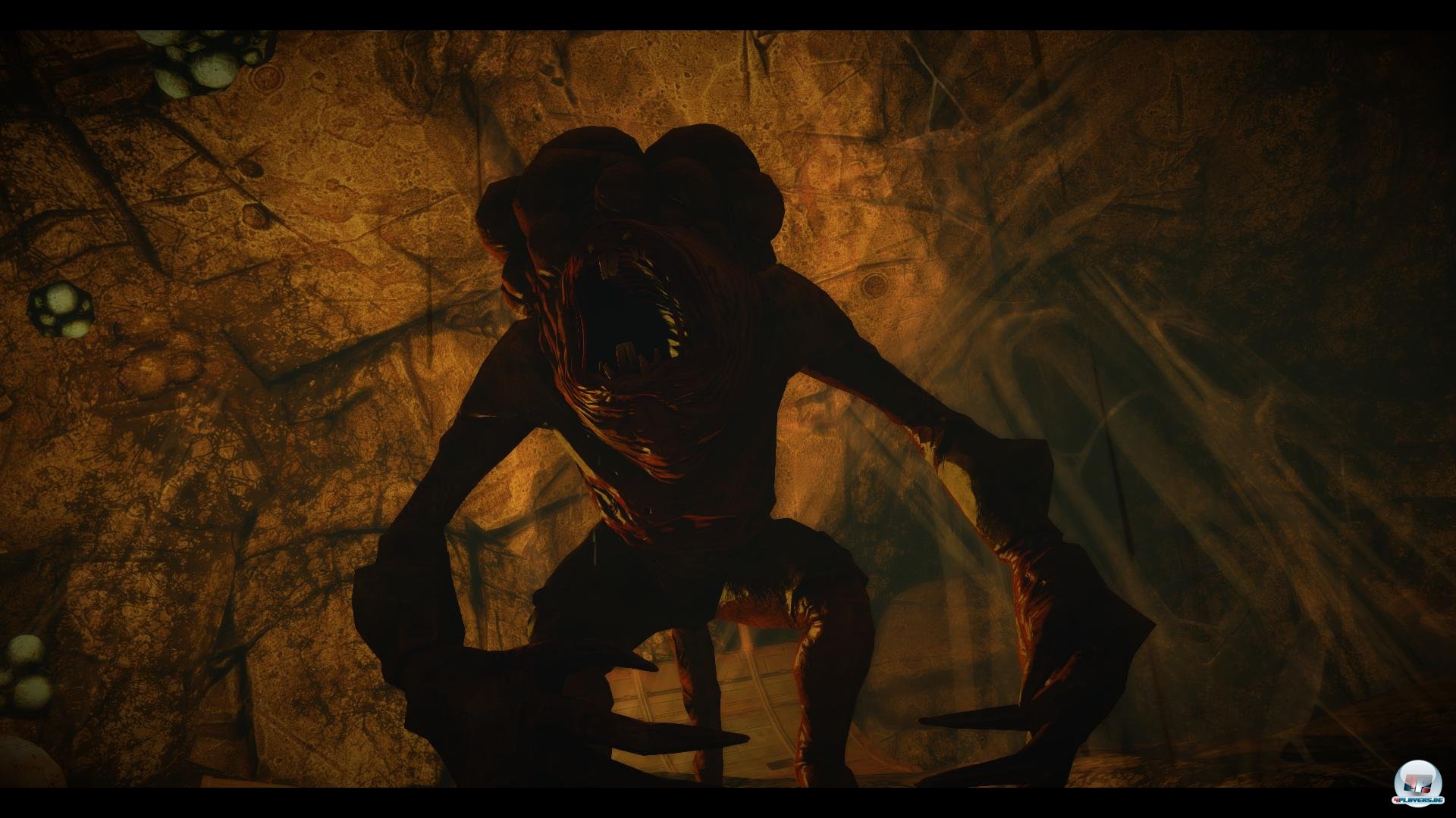 Die Bossk&auml;mpfe k&ouml;nnen nicht &uuml;berzeugen - auch wenn dieses Viech ziemlich eklig ist. 