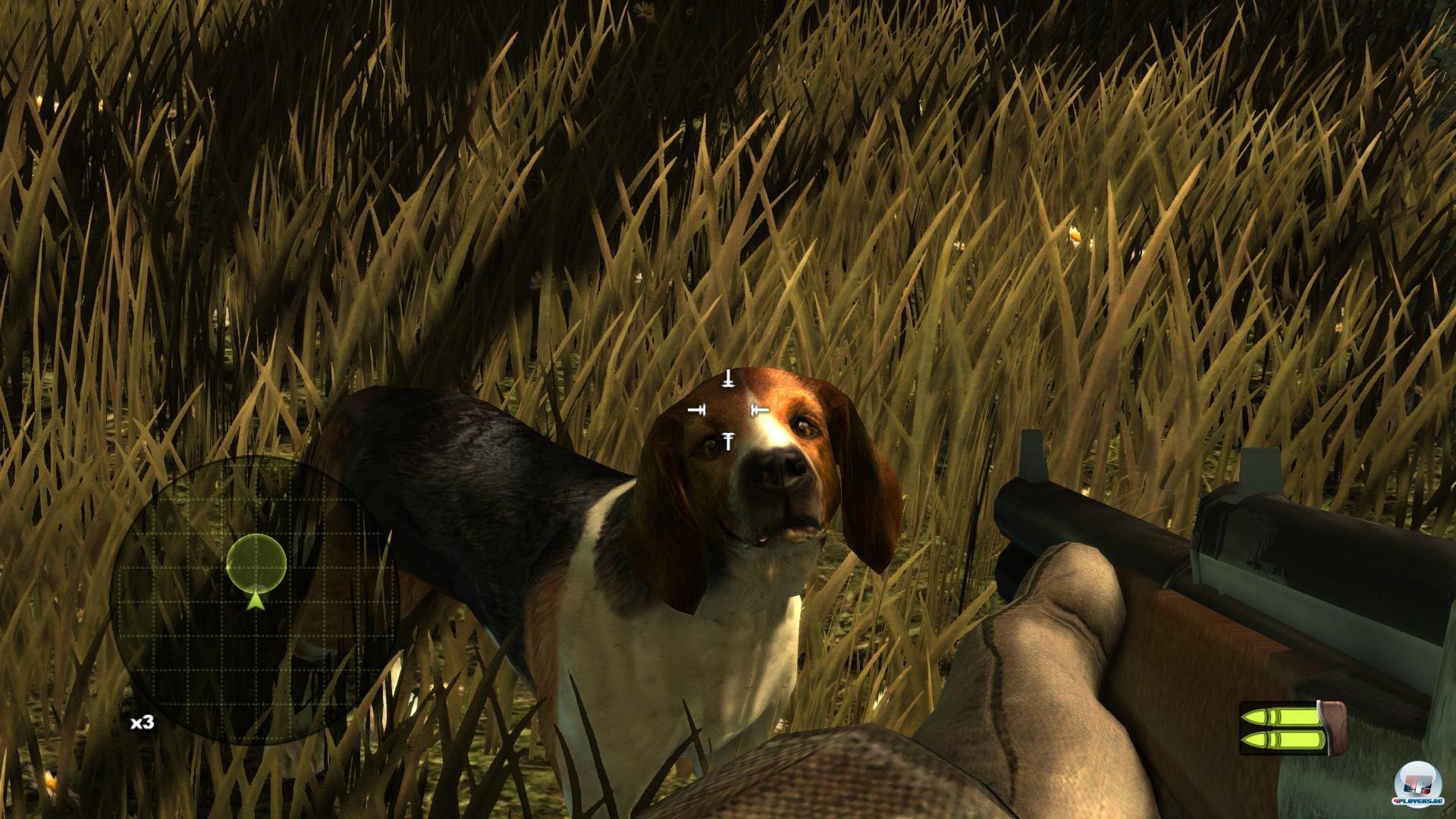 So richtig schlau sieht er nicht gerade aus, unser treuer Begleiter. Rechts im Bild: eines der uns&auml;glichen Waffenmodelle. 