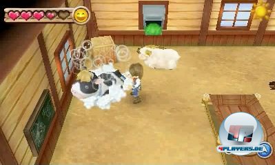 Sowohl Stall als auch Tiere sollten regelm&auml;&szlig;ig gereinigt werden.